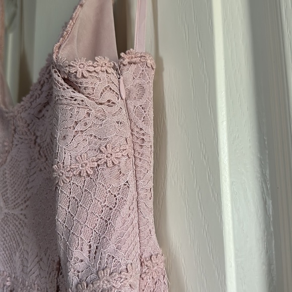 Light Pink Lace Dress - Picture 3 of 6